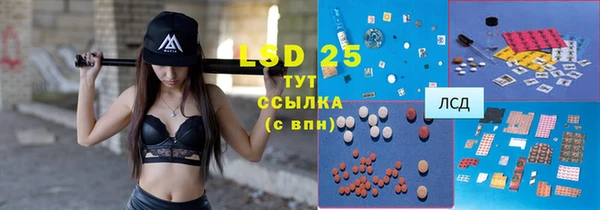 таблы Ельня