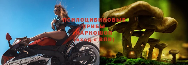 твердый Елабуга