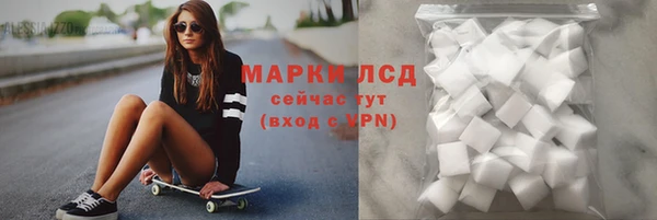 крисы Елизово