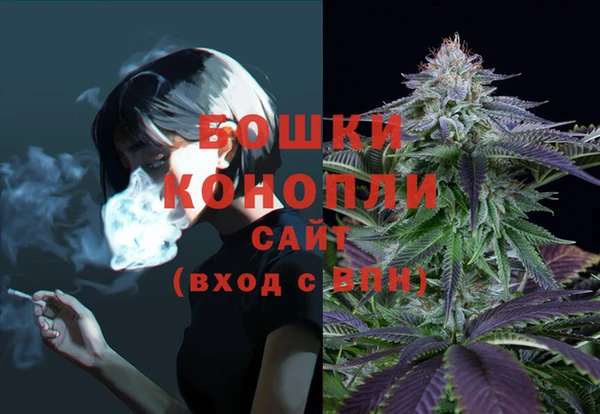 таблы Ельня