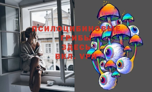 таблы Ельня