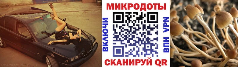 Галлюциногенные грибы Psilocybine cubensis  Купить  Горбатов 